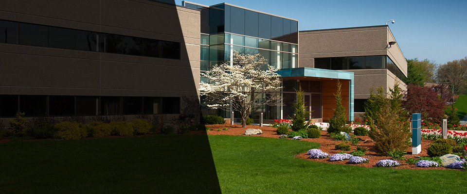 Bingham Lake Landscapers