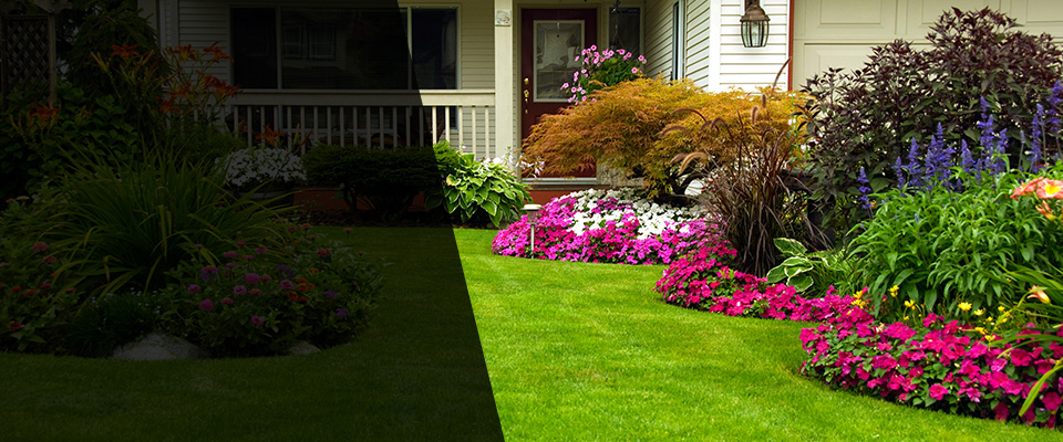 Bingham Lake Landscapers